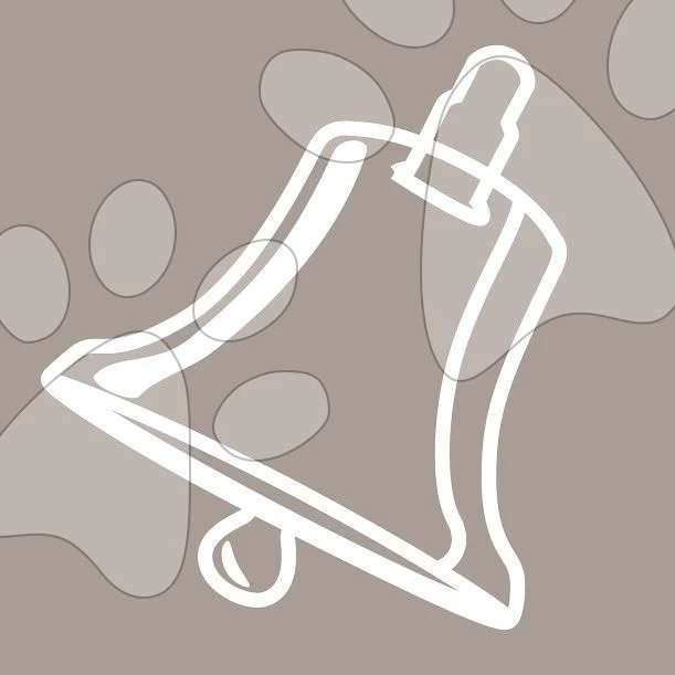 Farben-Rasselarmband Eule Colors-Rattle Bracelets Kaloo Mit Einem Armband 12 Cm Für Die Kleinsten – Bild 3