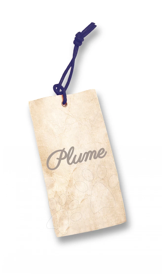 Kuschel-Teddybär Plume-Raspberry Bear Doudou Kaloo 20 Cm Im Geschenkkarton Für Die Kleinsten Rosa – Bild 3