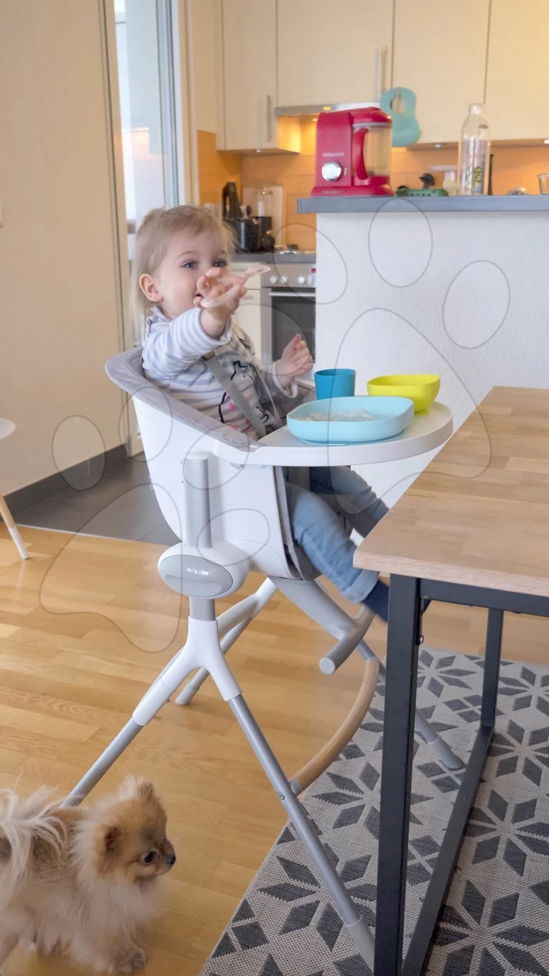 Dampfgarer- Und Mixer-Set Babycook® Solo Beaba + Geschenk - 4-teiliges Graues Esszimmerset Silicone Meal Ab 0 Monaten – Bild 20