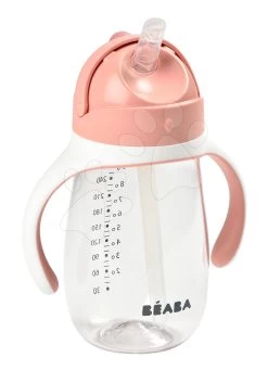 Flasche Bidon Zum Trinken Lernen Beaba Learning Cup 2in1 Old Pink 300 Ml Mit Strohhalm Ab 8 Monaten Rosa